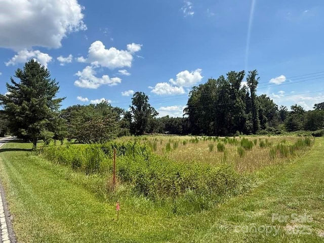 00 Chesnee Rd, Columbus, NC 28722 - photo 3