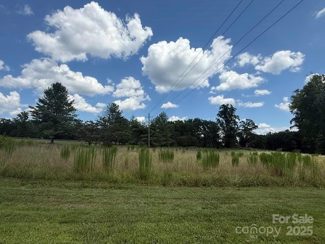 00 Chesnee Rd, Columbus, NC 28722 - photo 4