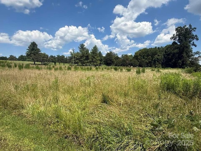00 Chesnee Rd, Columbus, NC 28722 - photo 6