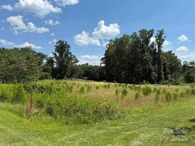 00 Chesnee Rd, Columbus, NC 28722 - photo 8