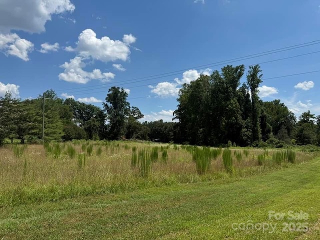 00 Chesnee Rd, Columbus, NC 28722 - photo 9