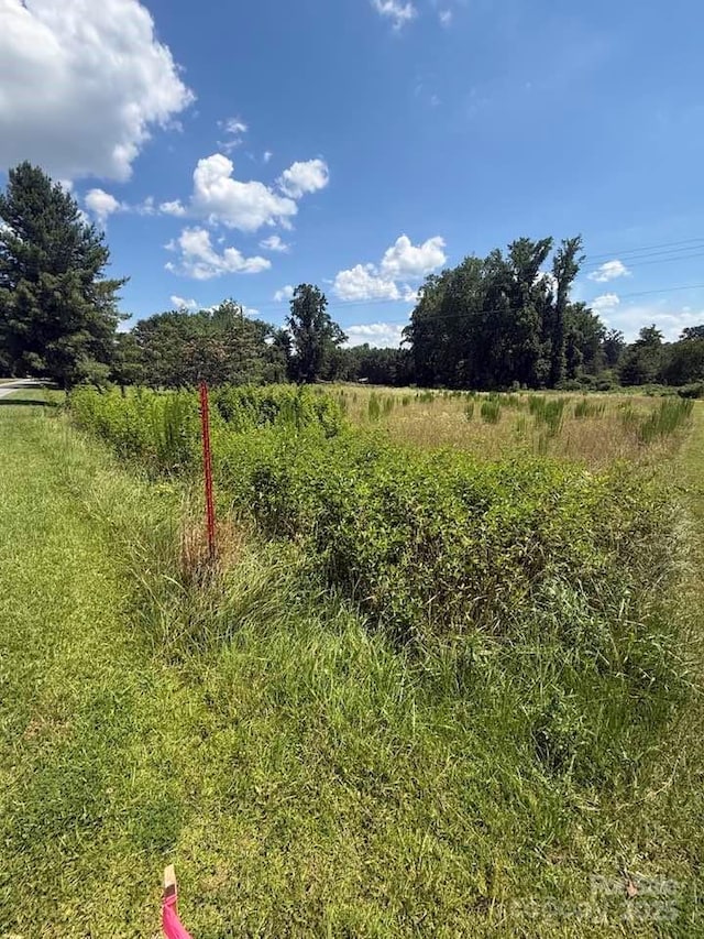 00 Chesnee Rd, Columbus, NC 28722 - photo 10