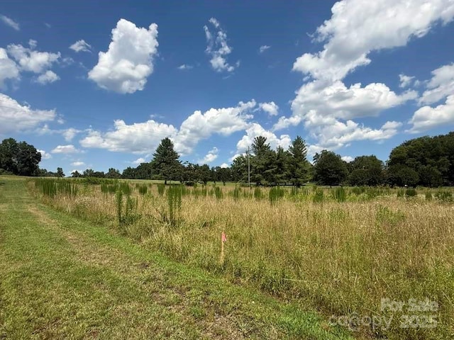 00 Chesnee Rd, Columbus, NC 28722 - photo 11