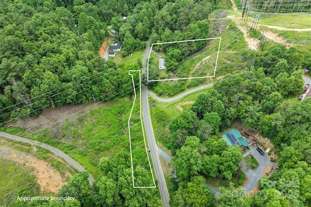 92 Flynn Branch Rd, Asheville, NC 28804 - view of property location featuring property boundaries highlighted