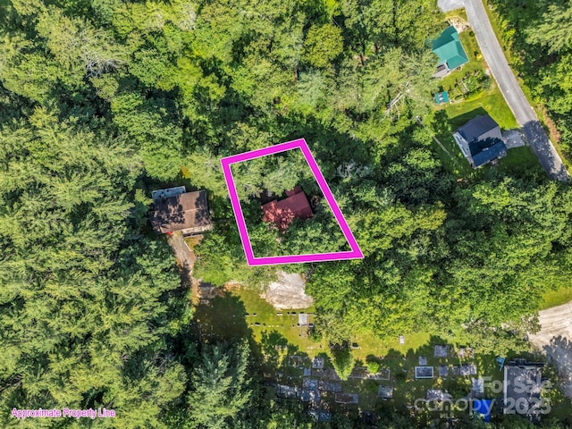 62 Kinard Ln, Penrose, NC 28766 - photo 17