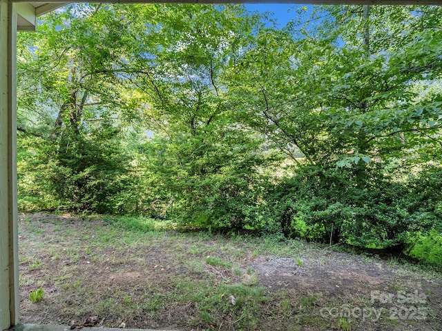 62 Kinard Ln, Penrose, NC 28766 - photo 22