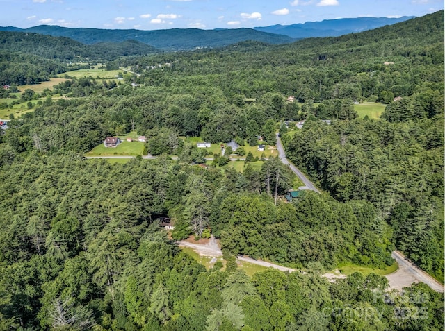 62 Kinard Ln, Penrose, NC 28766 - photo 5