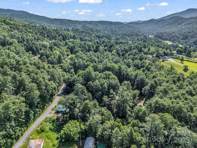 62 Kinard Ln, Penrose, NC 28766 - photo 7