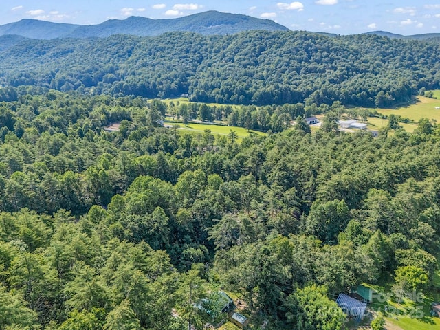 62 Kinard Ln, Penrose, NC 28766 - photo 8