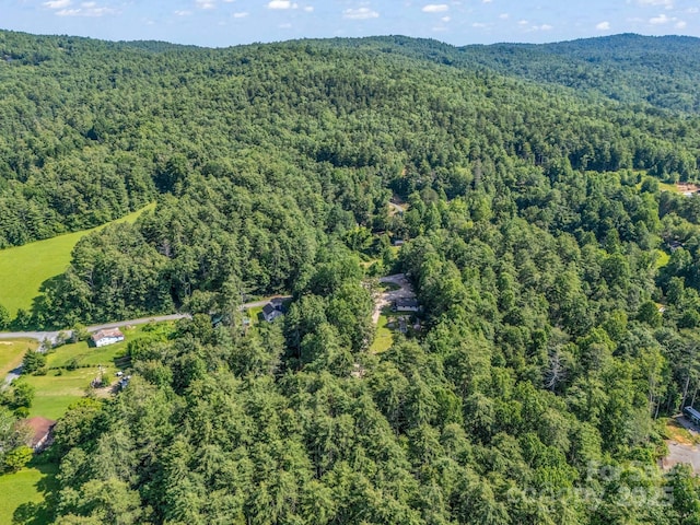 62 Kinard Ln, Penrose, NC 28766 - photo 9