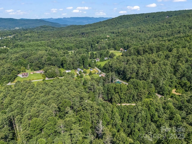 62 Kinard Ln, Penrose, NC 28766 - photo 10