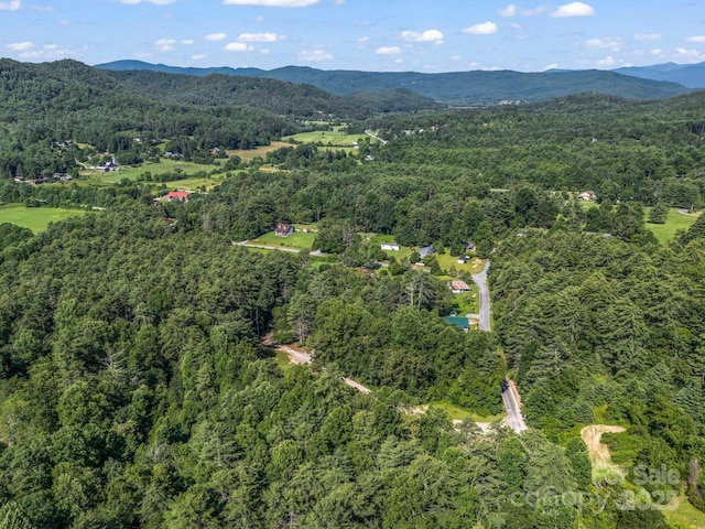 62 Kinard Ln, Penrose, NC 28766 - photo 11