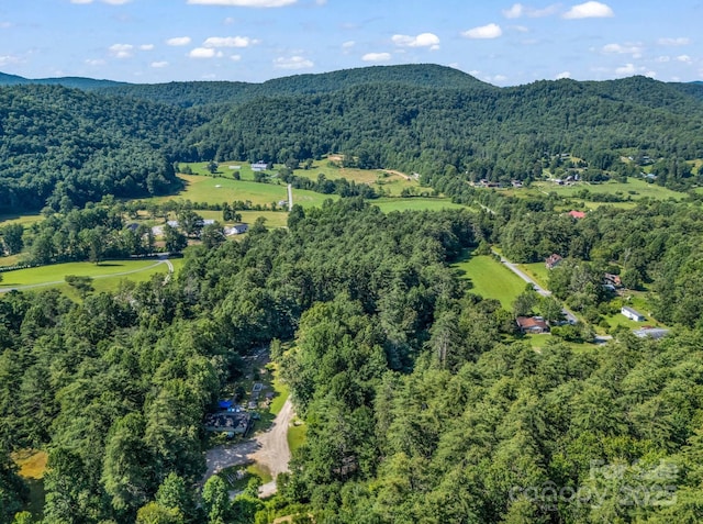 62 Kinard Ln, Penrose, NC 28766 - photo 12