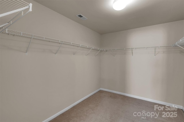 11538 Ardrey Crest Dr, Charlotte, NC 28277 - spacious closet featuring carpet floors