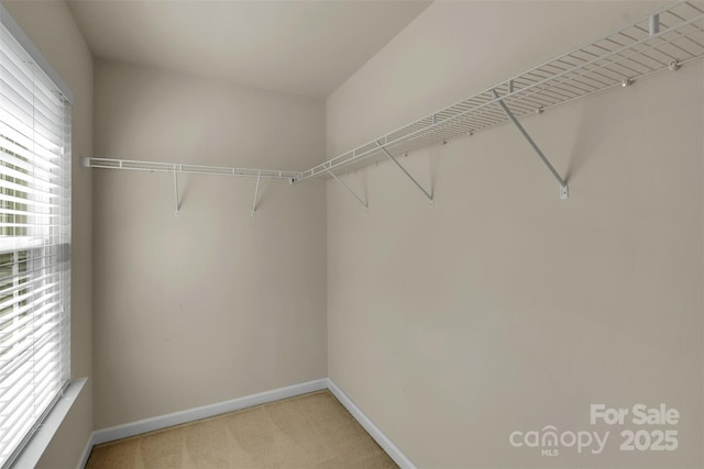 11538 Ardrey Crest Dr, Charlotte, NC 28277 - walk in closet with light carpet
