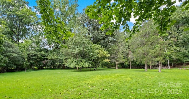8105 Sardis Rd, Charlotte, NC 28270 - photo 1