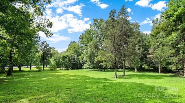 8105 Sardis Rd, Charlotte, NC 28270 - photo 2
