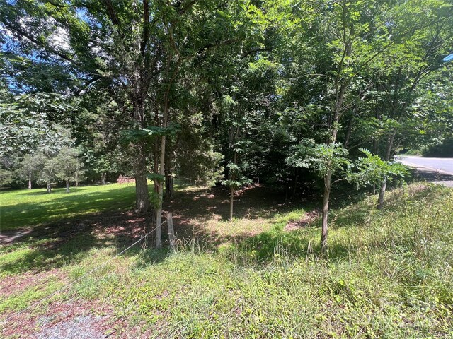 8105 Sardis Rd, Charlotte, NC 28270 - photo 5