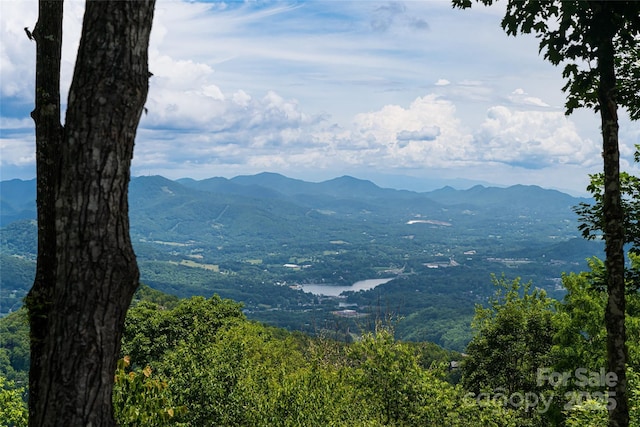 242 Anisidi Trl, Maggie Valley, NC 28751 - view of mountain background