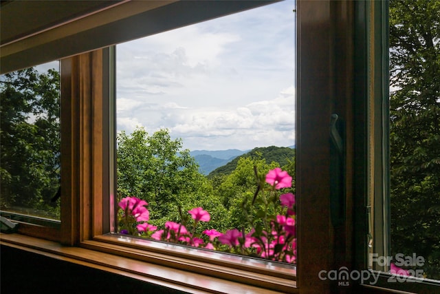 242 Anisidi Trl, Maggie Valley, NC 28751 - detailed view of mountains