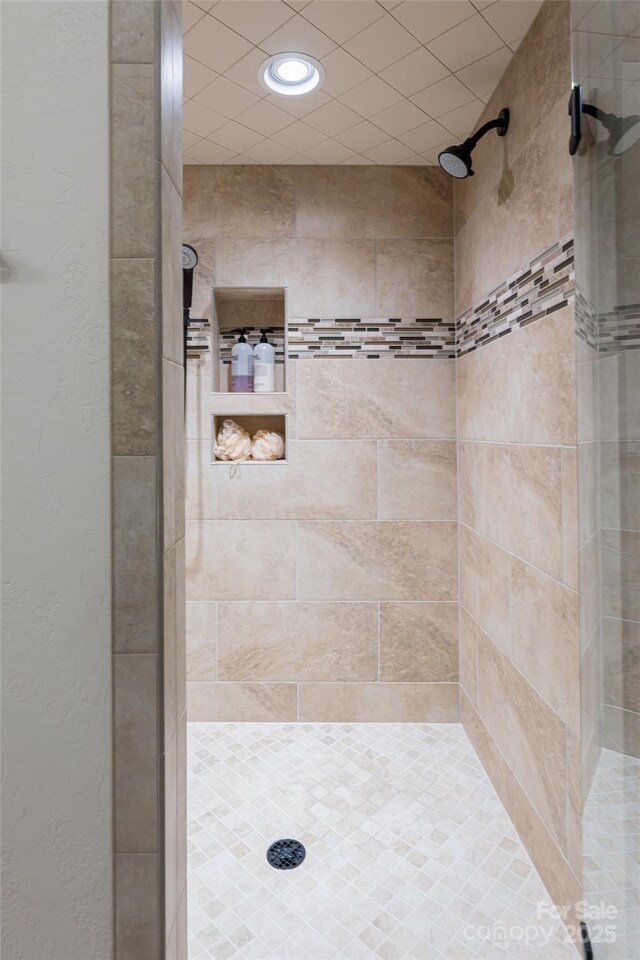 242 Anisidi Trl, Maggie Valley, NC 28751 - bathroom with a shower stall