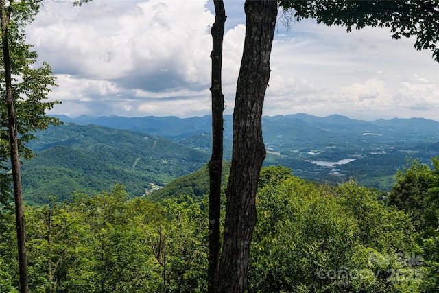 242 Anisidi Trl, Maggie Valley, NC 28751 - view of mountain backdrop with a heavily wooded area
