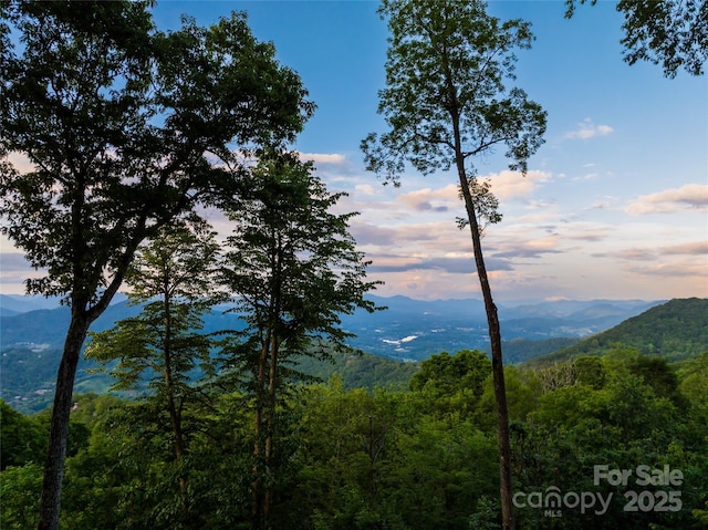 242 Anisidi Trl, Maggie Valley, NC 28751 - mountain view featuring a forest