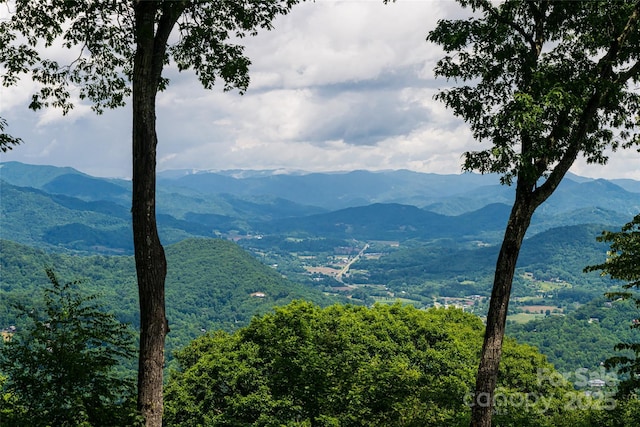 242 Anisidi Trl, Maggie Valley, NC 28751 - mountain view featuring a heavily wooded area
