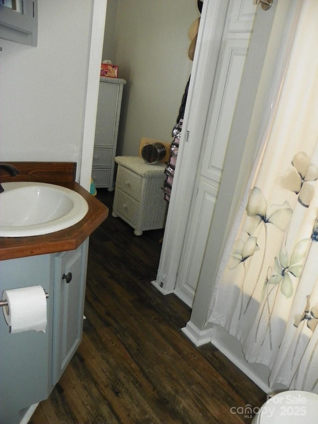 166 Eagle Dr, New London, NC 28127 - bathroom featuring wood finished floors, vanity, and a shower with curtain