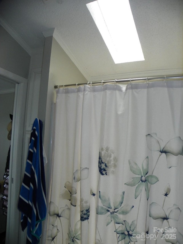 166 Eagle Dr, New London, NC 28127 - bathroom featuring crown molding, a shower with curtain, and a skylight
