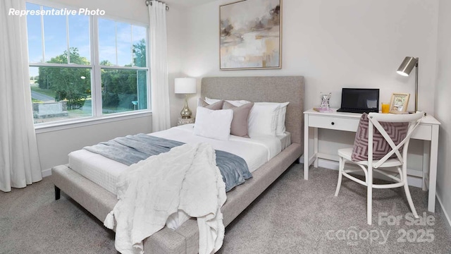780 14th Avenue Ct NE, Hickory, NC 28601 - view of carpeted bedroom