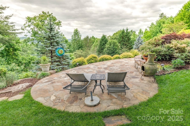 94 Spruce Hill Dr, Hendersonville, NC 28792 - view of patio / terrace