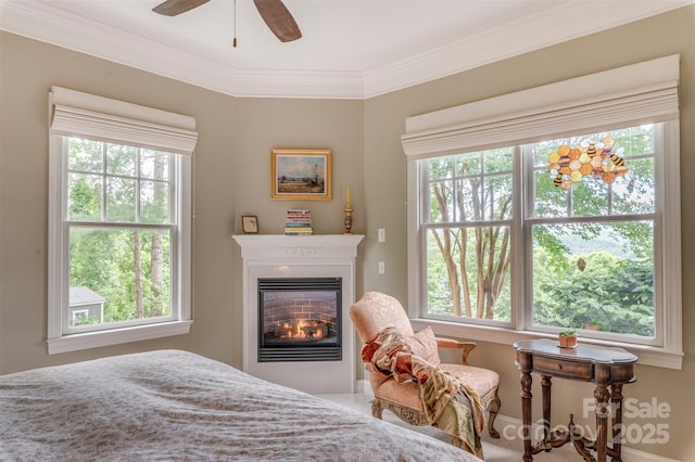 94 Spruce Hill Dr, Hendersonville, NC 28792 - bedroom featuring multiple windows, a glass covered fireplace, crown molding, and ceiling fan