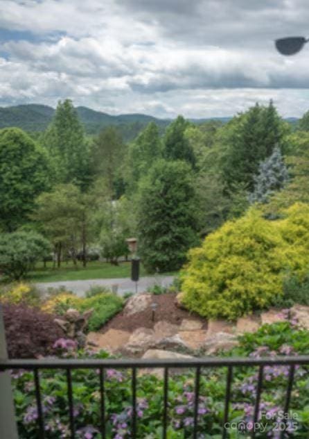 94 Spruce Hill Dr, Hendersonville, NC 28792 - view of mountain background