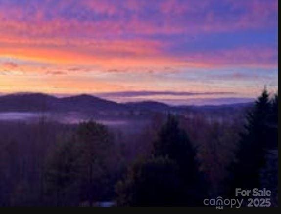 94 Spruce Hill Dr, Hendersonville, NC 28792 - view of mountain background
