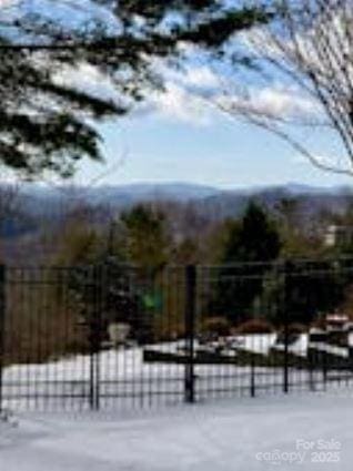 94 Spruce Hill Dr, Hendersonville, NC 28792 - yard covered in snow with a gate