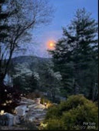 94 Spruce Hill Dr, Hendersonville, NC 28792 - mountain view