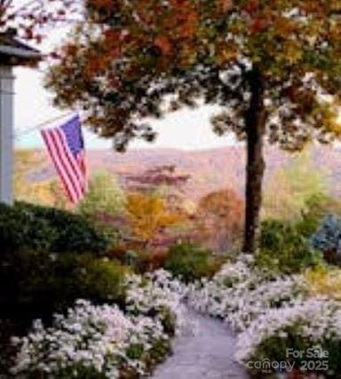 94 Spruce Hill Dr, Hendersonville, NC 28792 - view of yard