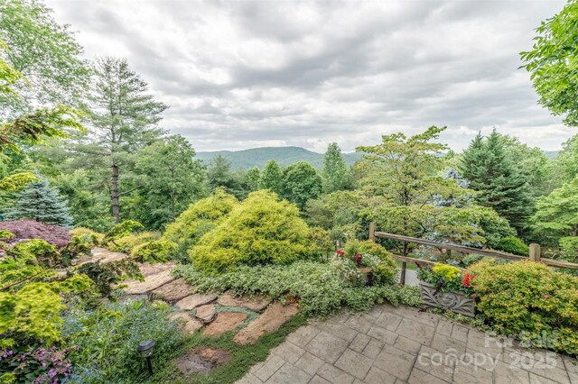94 Spruce Hill Dr, Hendersonville, NC 28792 - view of patio featuring a mountain view