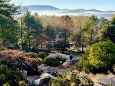 94 Spruce Hill Dr, Hendersonville, NC 28792 - view of yard with a mountain view