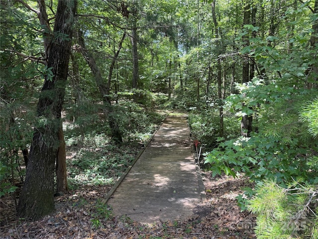 849 Savile Ln, Fort Mill, SC 29715 - photo 46