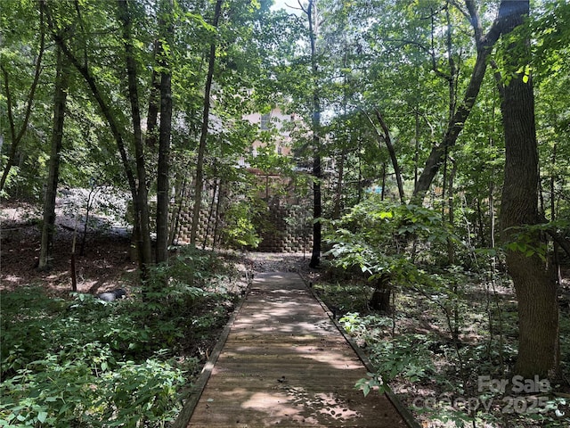 849 Savile Ln, Fort Mill, SC 29715 - photo 47