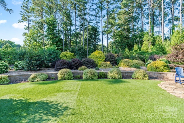 230 Washam Rd, Mooresville, NC 28117 - photo 43