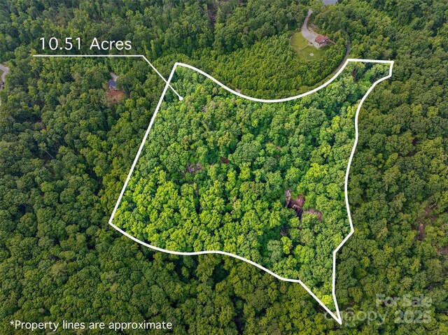 00 Locust Grove Rd Unit 2, Hendersonville, NC 28792