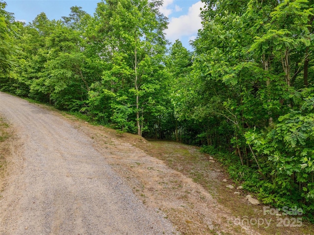 00 Locust Grove Rd Unit 2, Hendersonville, NC 28792