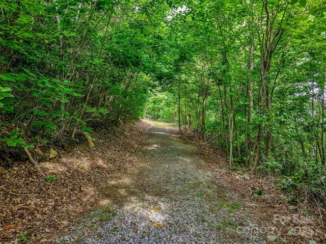 00 Locust Grove Rd Unit 2, Hendersonville, NC 28792