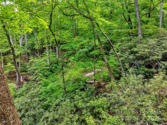 00 Locust Grove Rd Unit 2, Hendersonville, NC 28792