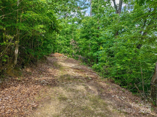 00 Locust Grove Rd Unit 2, Hendersonville, NC 28792