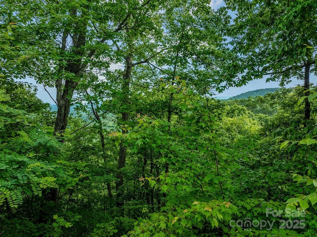 00 Locust Grove Rd Unit 2, Hendersonville, NC 28792