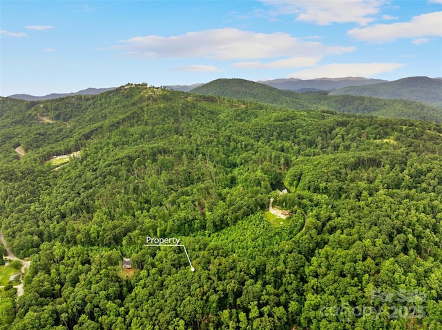 00 Locust Grove Rd Unit 2, Hendersonville, NC 28792